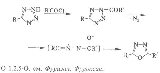 https://www.medpulse.ru/image/encyclopedia/4/9/6/9496.jpeg