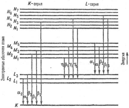 https://www.medpulse.ru/image/encyclopedia/5/0/2/12502.jpeg