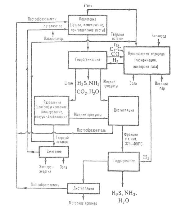 https://www.medpulse.ru/image/encyclopedia/5/0/3/5503.jpeg