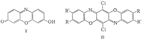 https://www.medpulse.ru/image/encyclopedia/5/0/3/9503.jpeg