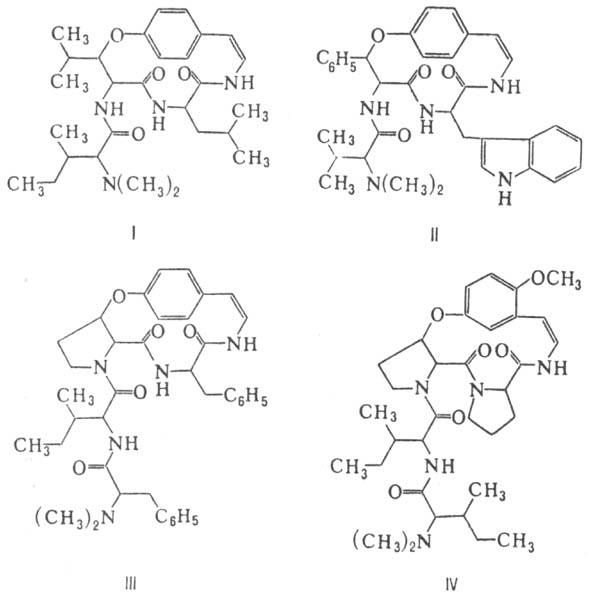 https://www.medpulse.ru/image/encyclopedia/5/0/9/10509.jpeg