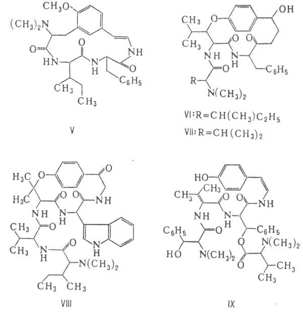 https://www.medpulse.ru/image/encyclopedia/5/1/0/10510.jpeg