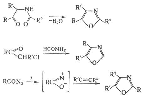 https://www.medpulse.ru/image/encyclopedia/5/1/7/9517.jpeg