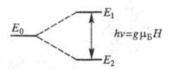 https://www.medpulse.ru/image/encyclopedia/5/2/1/18521.jpeg