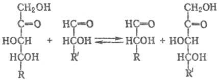 https://www.medpulse.ru/image/encyclopedia/5/2/4/14524.jpeg