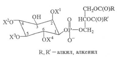 https://www.medpulse.ru/image/encyclopedia/5/3/7/15537.jpeg