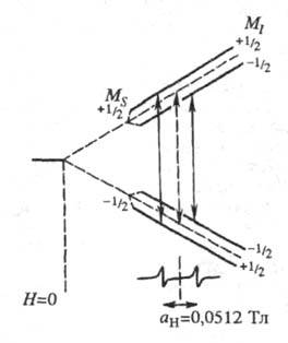 https://www.medpulse.ru/image/encyclopedia/5/4/9/18549.jpeg