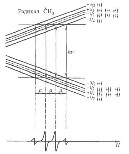 https://www.medpulse.ru/image/encyclopedia/5/5/6/18556.jpeg