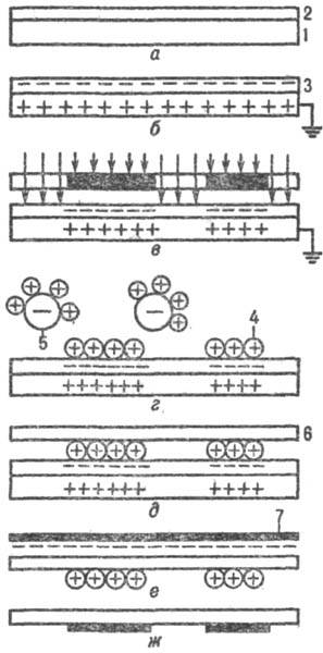 https://www.medpulse.ru/image/encyclopedia/5/6/1/12561.jpeg