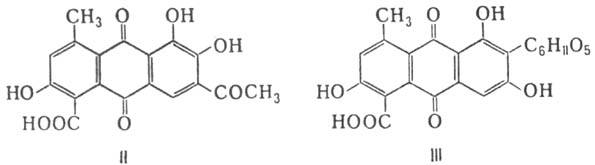 https://www.medpulse.ru/image/encyclopedia/5/7/3/9573.jpeg