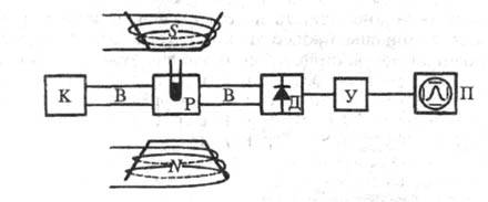 https://www.medpulse.ru/image/encyclopedia/5/7/9/18579.jpeg