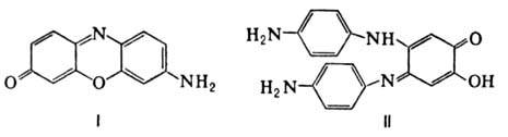 https://www.medpulse.ru/image/encyclopedia/5/7/9/9579.jpeg