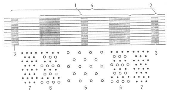 https://www.medpulse.ru/image/encyclopedia/5/8/2/8582.jpeg