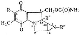 https://www.medpulse.ru/image/encyclopedia/5/8/5/8585.jpeg