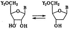 https://www.medpulse.ru/image/encyclopedia/5/8/8/12588.jpeg