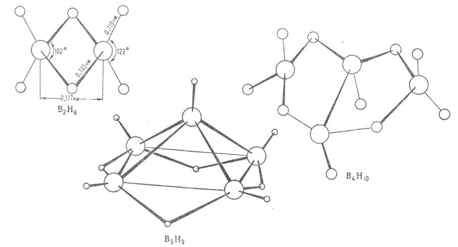 https://www.medpulse.ru/image/encyclopedia/5/9/0/3590.jpeg