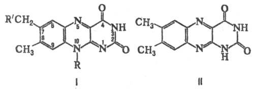 https://www.medpulse.ru/image/encyclopedia/5/9/1/12591.jpeg