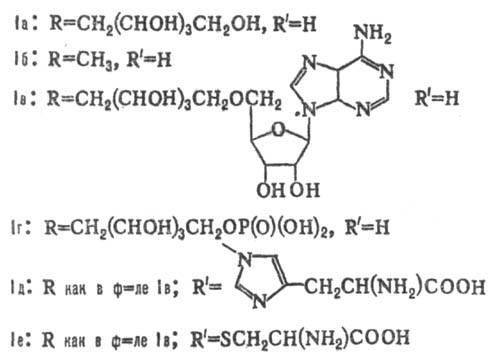 https://www.medpulse.ru/image/encyclopedia/5/9/2/12592.jpeg