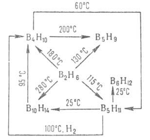 https://www.medpulse.ru/image/encyclopedia/5/9/3/3593.jpeg