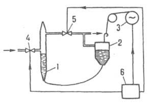 https://www.medpulse.ru/image/encyclopedia/5/9/7/6597.jpeg