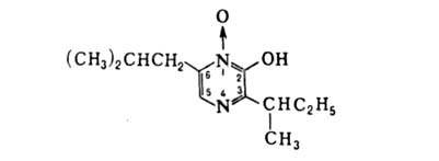 https://www.medpulse.ru/image/encyclopedia/5/9/8/2598.jpeg