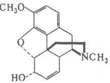 https://www.medpulse.ru/image/encyclopedia/6/0/7/7607.jpeg