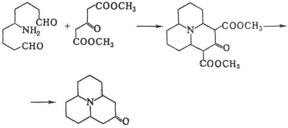 https://www.medpulse.ru/image/encyclopedia/6/0/8/12608.jpeg