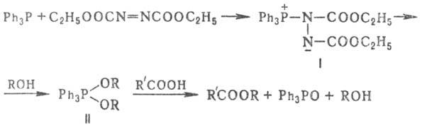 https://www.medpulse.ru/image/encyclopedia/6/0/9/8609.jpeg