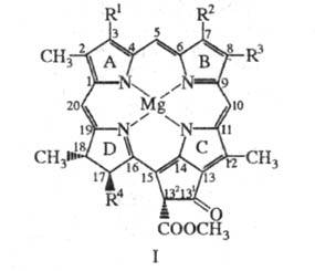 https://www.medpulse.ru/image/encyclopedia/6/1/3/16613.jpeg