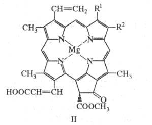 https://www.medpulse.ru/image/encyclopedia/6/1/4/16614.jpeg