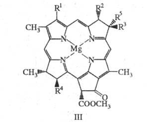 https://www.medpulse.ru/image/encyclopedia/6/1/5/16615.jpeg