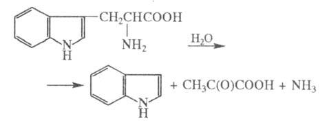 https://www.medpulse.ru/image/encyclopedia/6/1/6/14616.jpeg