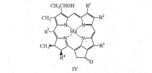 https://www.medpulse.ru/image/encyclopedia/6/1/7/16617.jpeg