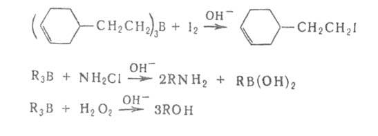 https://www.medpulse.ru/image/encyclopedia/6/1/8/3618.jpeg