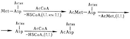 https://www.medpulse.ru/image/encyclopedia/6/1/9/8619.jpeg