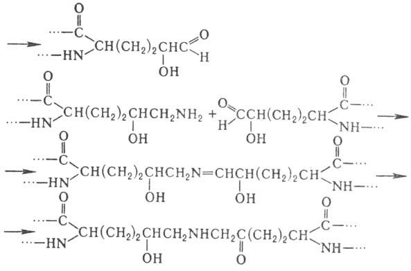 https://www.medpulse.ru/image/encyclopedia/6/2/1/8621.jpeg