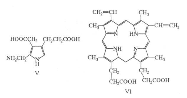 https://www.medpulse.ru/image/encyclopedia/6/2/2/16622.jpeg