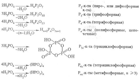 https://www.medpulse.ru/image/encyclopedia/6/3/9/15639.jpeg