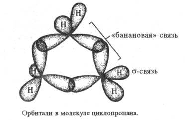 https://www.medpulse.ru/image/encyclopedia/6/4/4/17644.jpeg