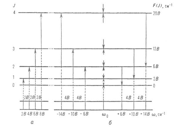 https://www.medpulse.ru/image/encyclopedia/6/5/0/4650.jpeg