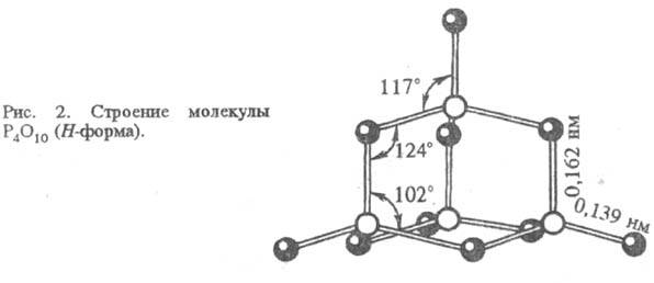 https://www.medpulse.ru/image/encyclopedia/6/6/1/15661.jpeg