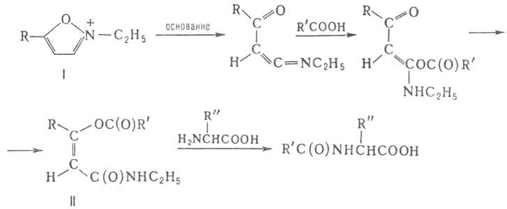 https://www.medpulse.ru/image/encyclopedia/6/7/3/4673.jpeg