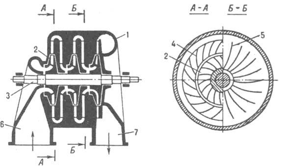 https://www.medpulse.ru/image/encyclopedia/6/7/4/7674.jpeg