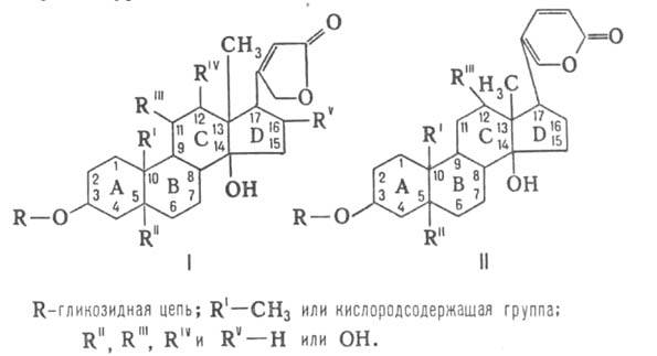 https://www.medpulse.ru/image/encyclopedia/6/7/5/5675.jpeg