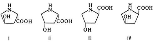 https://www.medpulse.ru/image/encyclopedia/6/8/9/9689.jpeg