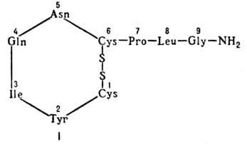 https://www.medpulse.ru/image/encyclopedia/6/9/6/9696.jpeg