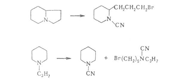 https://www.medpulse.ru/image/encyclopedia/7/0/0/3700.jpeg