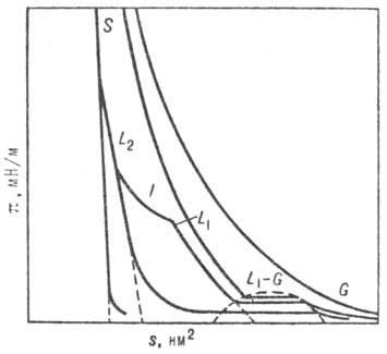 https://www.medpulse.ru/image/encyclopedia/7/0/4/8704.jpeg