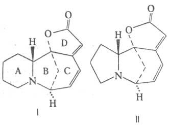 https://www.medpulse.ru/image/encyclopedia/7/1/1/12711.jpeg