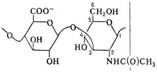 https://www.medpulse.ru/image/encyclopedia/7/4/4/8744.jpeg